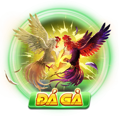 đá gà
