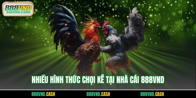 Nhiều hình thức chọi kê tại nhà cái 888vnd